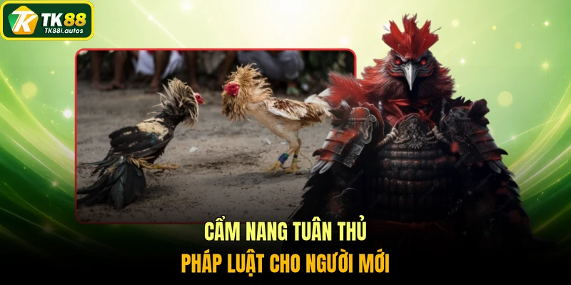 Cẩm nang tuân thủ pháp luật cho người mới