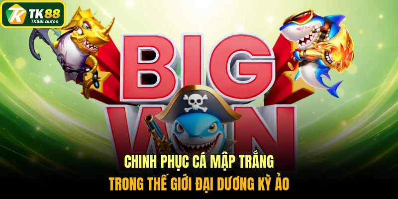 Chinh phục cá mập trắng trong thế giới đại dương kỳ ảo