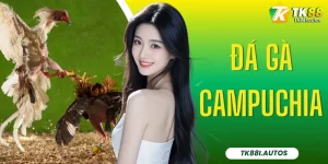Đá Gà Campuchia
