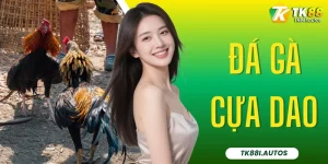 Đá Gà Cựa Dao