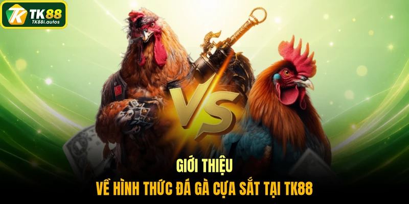 Giới thiệu về hình thức đá gà cựa sắt tại TK88