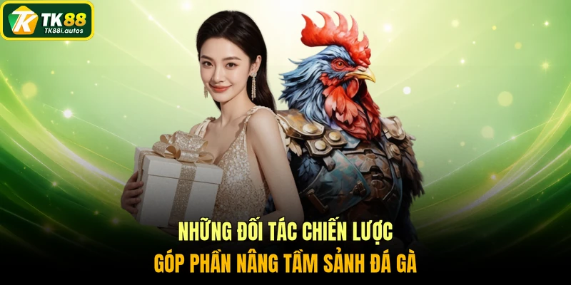Những đối tác chiến lược góp phần nâng tầm sảnh đá gà