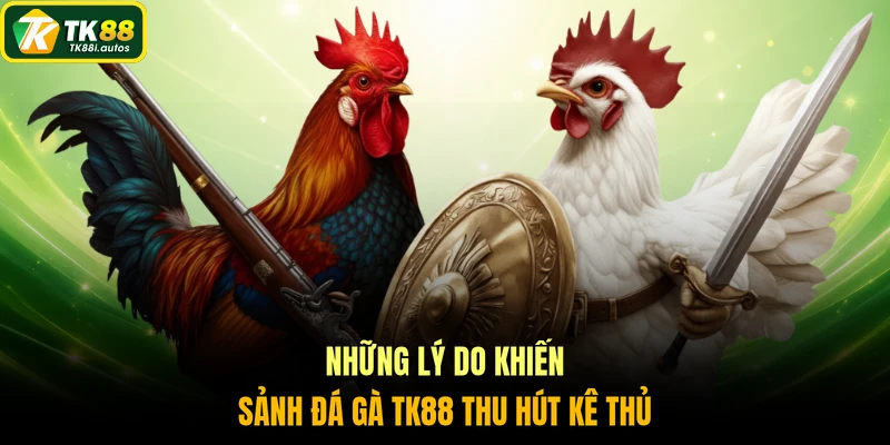 Những lý do khiến sảnh đá gà TK88 thu hút kê thủ