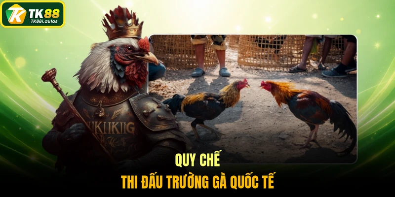 Quy chế thi đấu trường gà quốc tế
