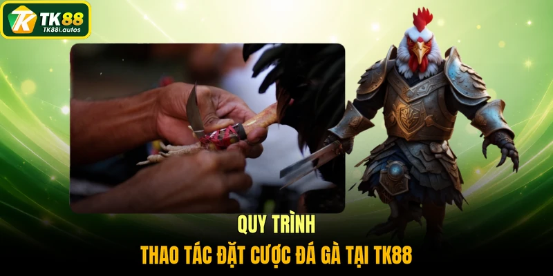 Quy trình thao tác đặt cược đá gà tại TK88