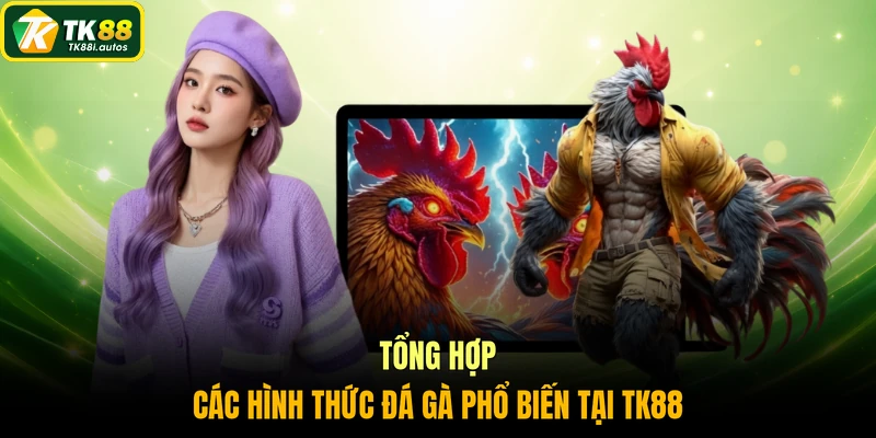 Tổng hợp các hình thức đá gà phổ biến tại TK88
