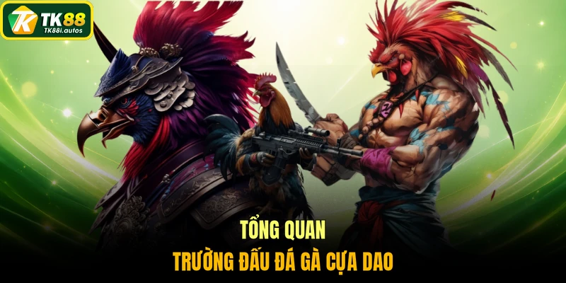 Tổng quan trường đấu đá gà cựa dao